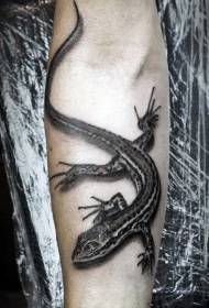 Gecko тату-сурет үлгісі Agile Gecko тату-суретінің үлгісі