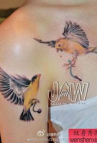 Linda garota braço e peito belo pássaro tatuagem padrão