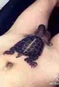 Sexy part of turtle tattoo pattern