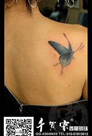 여자의 어깨에 아름답고 아름다운 나비 문신 패턴