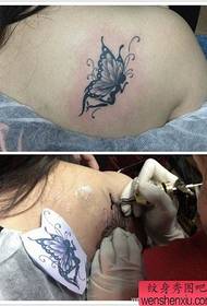 Padrão de tatuagem linda borboleta popular ombros femininos