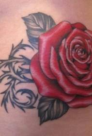 Rose τατουάζ απεικόνιση λεπτό μοτίβο τατουάζ αυξήθηκε