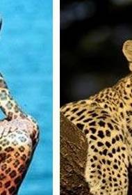 Повне тіло леопардової татуювання людина острівне життя 20 років