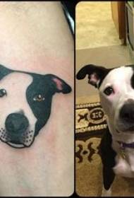 小狗纹身图片 男生小腿上彩色的小狗纹身图片
