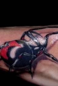 3d spider tattoo illustratie 3d spider tattoo patroon op mannelijke wreef