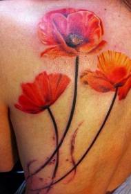 Poppy Tattoo Modeli i tatuazhit të bukur, por vdekjeprurëse të lulekuqes