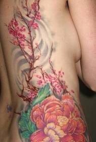 Female waist color big flower and cherry tree tattoo picture