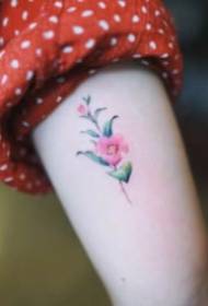 Ultra-simple small fresh tattoo pictures that 27 girls like