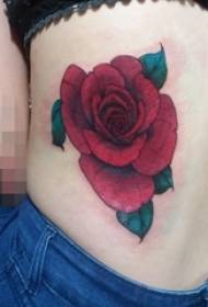 Girl's side waist painted plants material gorgeous rose flower tattoo pictures