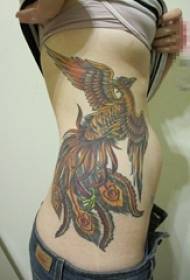 Женская сторона талии раскрашена акварелью творческой личности властной татуировки Феникс