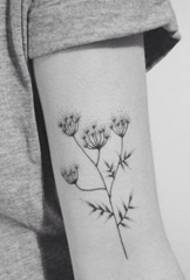 Ulubiony tatuaż czarnych małych świeżych roślin dla dziewcząt