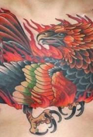 Boys on the chest painted watercolor domineering phoenix tattoo pictures