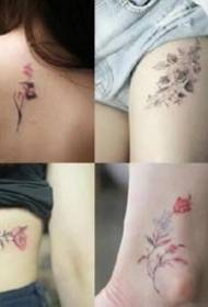 Tattoo shop cituje cenu asi 200 juanů pro dívky malé čerstvé tetování vzor reference