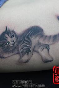 मुलींना आवडत असलेल्या गोंडस मांजरीचे टॅटू नमुना