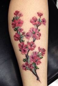 Meitenes ķīniešu stilā plūmju ziedu tetovējums mazu ziedu augu pigmenta tetovējums modelis