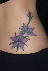 Waist colored five-pointed star flower tattoo pattern