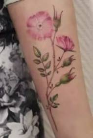 27 groups of girls like small fresh color floral tattoo designs