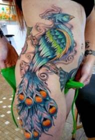 Peacock tattoofotografie barevné páv tetování vzor