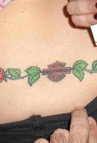Abdomen berwarna logo Harley Davidson mawar tato