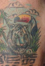 He tauira tattoo tattoo tiger tae