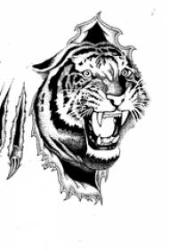 black gray sketch depicting creative domineering tiger tattoo manuscript