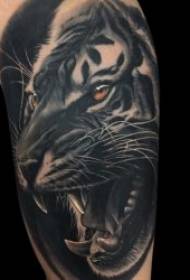 Tatuaje de Tigre 9 Vibrante Tigre Patrón de tatuaje