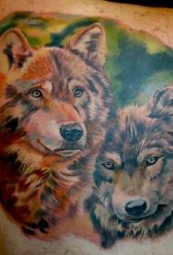 Beautiful colorful wolf tattoo pattern on the back