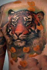 мапа тигрових тетоважа - -9 појединачни краљ звери делује узорак тигрова тетоважа