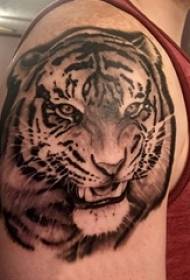 brazos de chicos en líneas negras fotos de tatuajes de tigres de animales pequeños