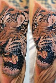 realistic style color tiger head tattoo picture