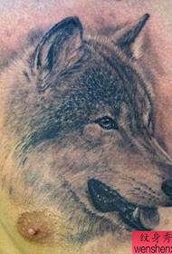 Patrón de tatuaje de cabeza de lobo de pecho fresco clásico en el pecho masculino