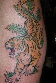 Farebné tigrie tetovanie vzor