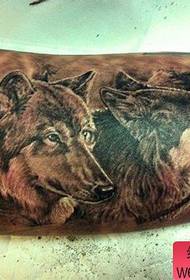 Legs handsome and handsome wolf head tattoo pattern