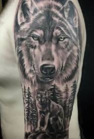 Dominante conjunto de tatuajes de patrón de lobo de ojos afilados funciona