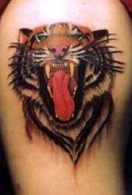 shoulder super realistic roaring tiger tattoo picture