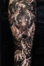 Tatuaje de lobo 9 simpáticos deseños de tatuaxe con lobo