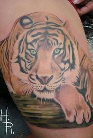 leg color tiger realistic tattoo pattern