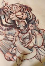 Manuscrito da tatuaxe de rosa do tigre da escola europea