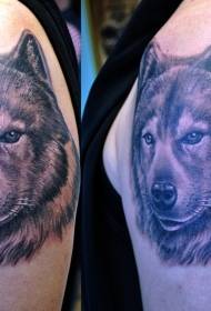 Ramena črno rjava volčja glava Wolf tatoo vzorec tatoo