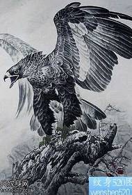 a set of eagle tattoo designs