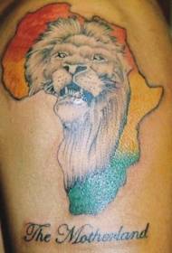 shoulder color African lion head tattoo pattern