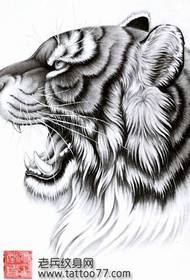 सुंदर बाघ बाघ सिर टैटू पांडुलिपि