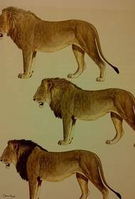 para que todos compartan un conjunto de imágenes de patrones de tatuajes de leones