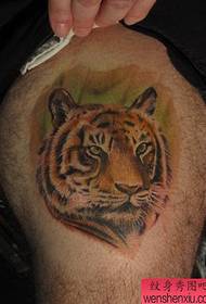 traditioneel tattoo-patroon: tijgertijger tijgerkop tattoo-patroon
