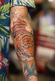 Boka tigris tetoválás minta