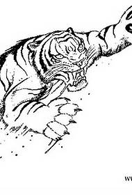 rankraštinio eskizo tigro tatuiruotės modelis