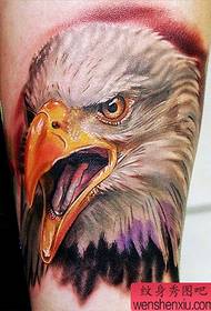 Eagle Tattoo Pattern: Arm Color Eagle Tattoo Pattern