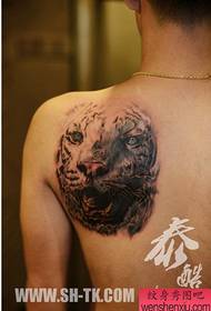 foršs muguras tīģera galvas tetovējuma raksts zēniem 129465 - foršs dominējošs tīģera tetovējuma manuskripts 129466 - vēss melnbalta galvaskausa tetovējuma raksts uz vīrieša pleca