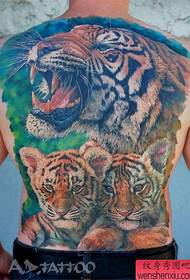 male full Back cool color tiger head tattoo pattern