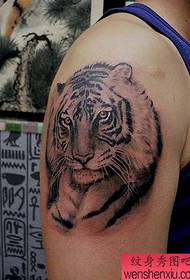 Professional Tattoo Gallery: Big Tail Tiger Head Tattoo Picture